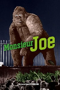 Monsieur Joe (1949)