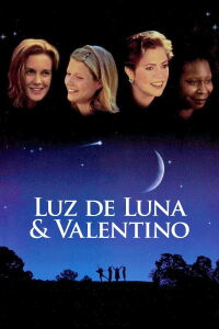 Moonlight and Valentino (1995)
