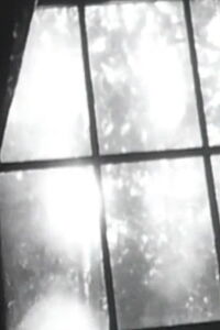 Mountain Cat (1980)