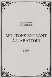 Moutons entrant à l'abattoir (1896)