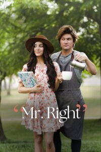 Mr. Right (2023)