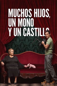 Muchos hijos, un mono y un castillo (2017)
