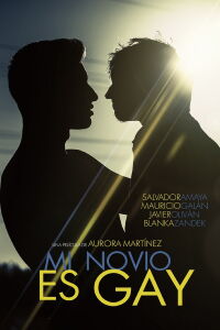 My Boyfriend Is Gay (2015)