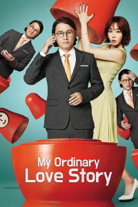 My Ordinary Love Story (2014)