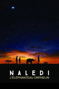 Naledi, l'éléphanteau orphelin (2016)