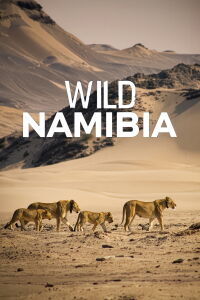 Namibia’s Desert Kingdom (2013)