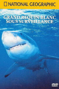 National Geographic : Grand requin blanc sous surveillance (2001)