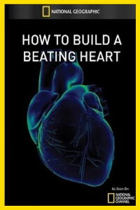 National Geographic: How to Build A Beating Heart (2011)