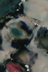 Natural Features (1990)