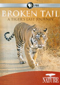 Nature: Broken Tail A Tiger's Last Journey (2011)