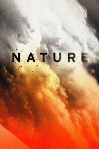 Nature (2019)