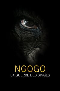 Ngogo : la guerre des singes (2017)