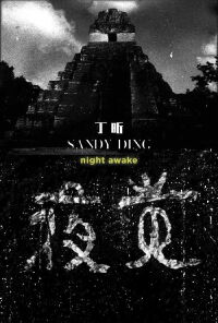 Night Awake (2016)