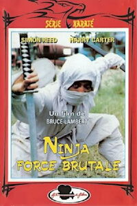 Ninja, the Violent Sorceror (1987)