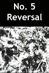 No. 5 Reversal (1989)
