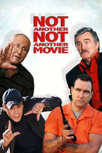 No es otra estúpida parodia (2011)