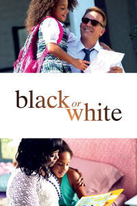 Noir ou Blanc (2015)