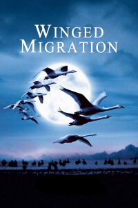 Nómadas del viento (2001)