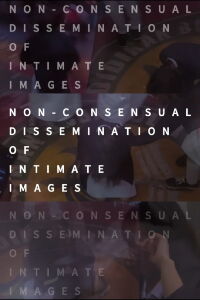 Non-consensual Dissemination of Intimate Images (2023)