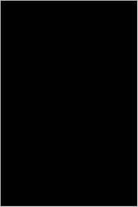 Non è stato il Bianconiglio (2023)