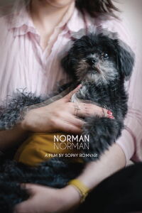 Norman Norman (2018)