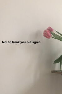 Not to freak you out again (2021)