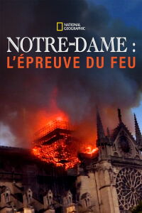 Notre-Dame : l'épreuve du feu (2019)