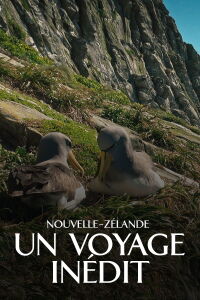 Nouvelle-Zélande, embarquement pour un voyage inédit (2019)