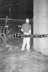 Object Permanence (2022)