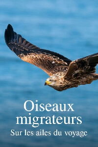 Oiseaux migrateurs : Sur les ailes du voyage (2023)