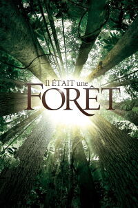 Once Upon a Forest (2013)