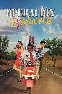 Operation Piroberta (2017)