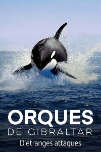 Orques de Gibraltar : D'étranges attaques (2024)