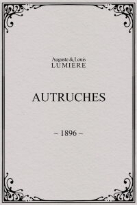 Ostriches (1896)