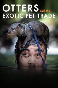 Otters and the Exotic Pet Trade (2019)