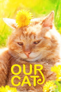Our Cat (2020)