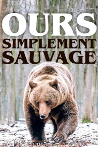 Ours, simplement sauvage (2019)