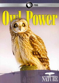 Owl Power (2015)