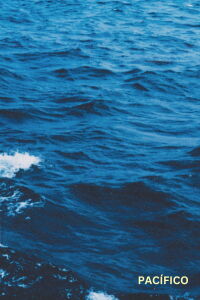 Pacific (2024)