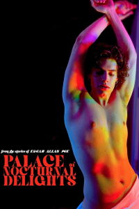 Palace of Nocturnal Delights (2024)