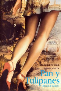 Pan y tulipanes (2000)