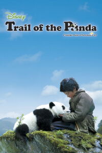 Panda on the Way Home (2009)