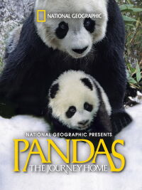 Pandas: El camino a casa (2014)