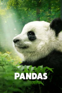Pandas: El camino a casa (2018)