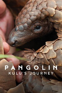Pangolin : Chemins de vie (2025)