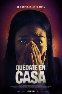 Pánico en casa (2021)
