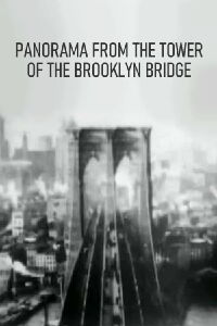 Panorama from the Tower of the Brooklyn Bridge (1899)