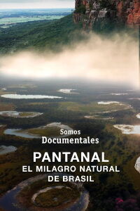 Pantanal. El milagro natural de Brasil (2021)