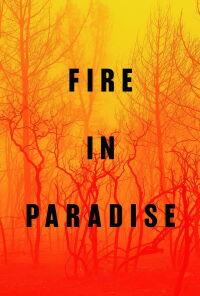 Paradise en flammes (2019)