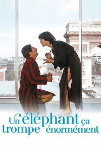 Pardon Mon Affaire (1976)